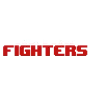 Retro Fighters Retro Fighters
